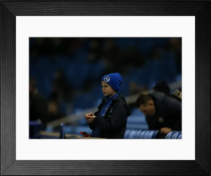 Framed Print : Brighton and Hove Albion v Leeds United Sky Bet Championship 29 / 02 / 2016 Framed Print : Brighton and Hove Albion v Leeds United Sky Bet Championship 29 / 02 / 2016