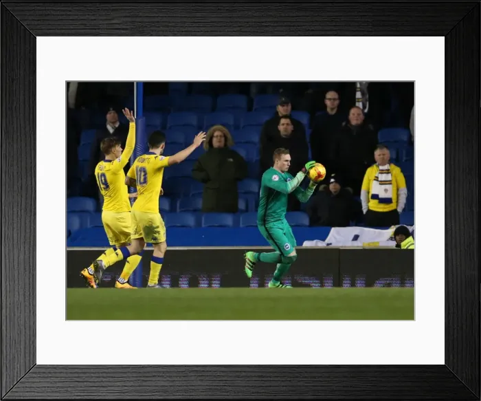 Framed Print : Intense Championship Showdown: Brighton & Hove Albion vs. Leeds United - 29 February 2016 Framed Print : Intense Championship Showdown: Brighton & Hove Albion vs. Leeds United - 29 February 2016