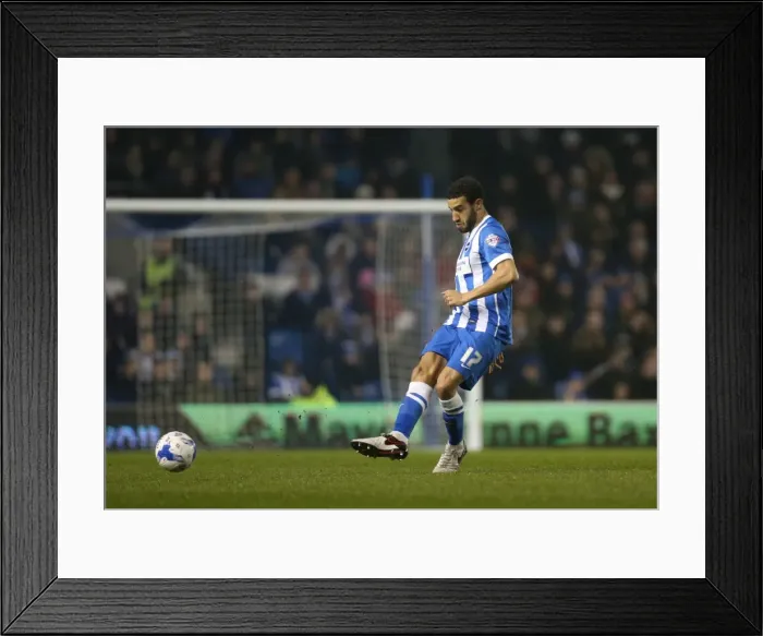 Framed Print : Brighton and Hove Albion vs. Sheffield Wednesday: Sky Bet Championship Showdown at American Express Community Stadium (08.03.2016) Framed Print : Brighton and Hove Albion vs. Sheffield Wednesday: Sky Bet Championship Showdown at American Express Community Stadium (08.03.2016)