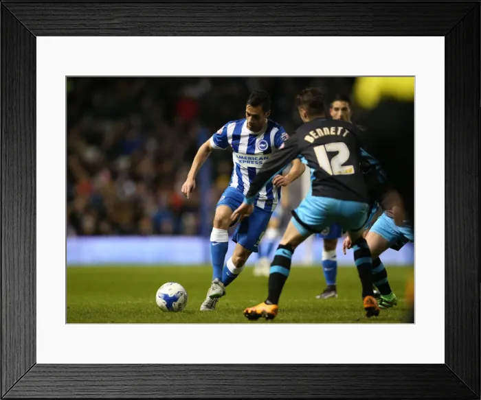 Framed Print : Brighton and Hove Albion vs. Sheffield Wednesday: Sky Bet Championship Showdown at American Express Community Stadium (08.03.2016) Framed Print : Brighton and Hove Albion vs. Sheffield Wednesday: Sky Bet Championship Showdown at American Express Community Stadium (08.03.2016)