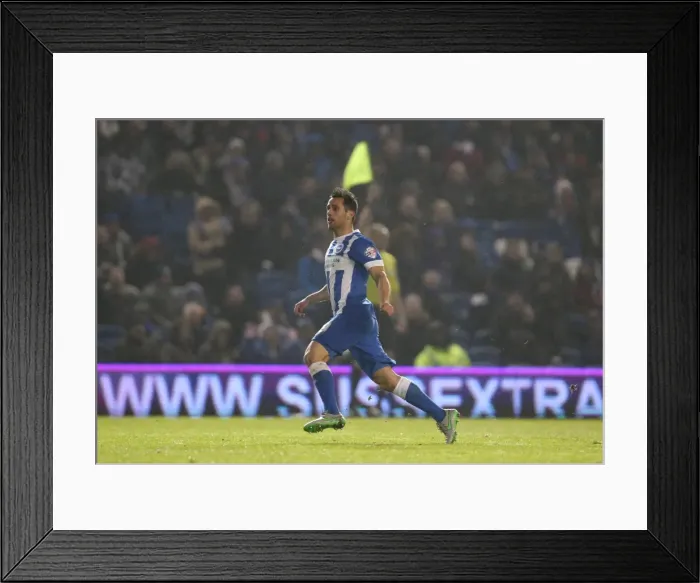 Framed Print : Brighton and Hove Albion vs. Sheffield Wednesday: Sky Bet Championship Showdown at American Express Community Stadium (08.03.2016) Framed Print : Brighton and Hove Albion vs. Sheffield Wednesday: Sky Bet Championship Showdown at American Express Community Stadium (08.03.2016)