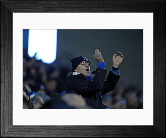 Framed Print : Brighton and Hove Albion vs. Sheffield Wednesday: Sky Bet Championship Showdown at American Express Community Stadium (08.03.2016) Framed Print : Brighton and Hove Albion vs. Sheffield Wednesday: Sky Bet Championship Showdown at American Express Community Stadium (08.03.2016)