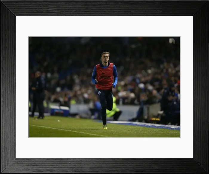 Framed Print : Brighton and Hove Albion vs. Sheffield Wednesday: Sky Bet Championship Showdown at American Express Community Stadium (08.03.2016) Framed Print : Brighton and Hove Albion vs. Sheffield Wednesday: Sky Bet Championship Showdown at American Express Community Stadium (08.03.2016)
