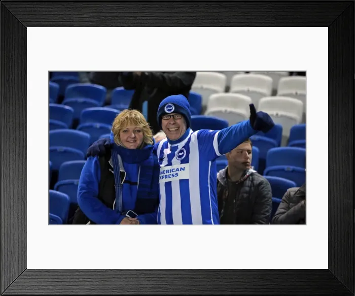 Framed Print : Brighton and Hove Albion vs. Sheffield Wednesday: Sky Bet Championship Showdown at American Express Community Stadium (08.03.2016) Framed Print : Brighton and Hove Albion vs. Sheffield Wednesday: Sky Bet Championship Showdown at American Express Community Stadium (08.03.2016)