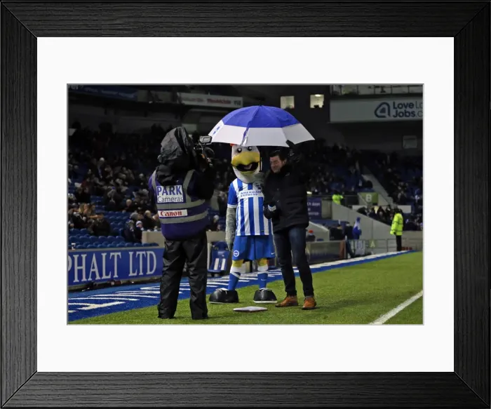 Framed Print : Brighton and Hove Albion vs. Sheffield Wednesday: A Championship Showdown (08.03.2016)
