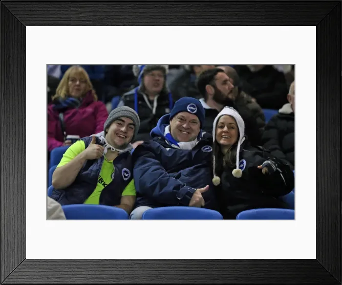 Framed Print : Brighton and Hove Albion vs. Sheffield Wednesday: Sky Bet Championship Showdown at American Express Community Stadium (08.03.2016) Framed Print : Brighton and Hove Albion vs. Sheffield Wednesday: Sky Bet Championship Showdown at American Express Community Stadium (08.03.2016)