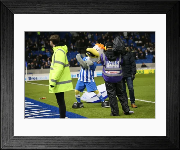 Framed Print : Championship Showdown: Brighton and Hove Albion vs. Sheffield Wednesday (08.03.2016) Framed Print : Championship Showdown: Brighton and Hove Albion vs. Sheffield Wednesday (08.03.2016)