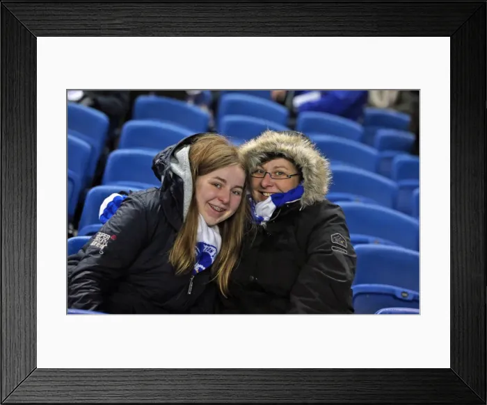 Framed Print : Brighton and Hove Albion vs. Sheffield Wednesday: Sky Bet Championship Showdown at American Express Community Stadium (08.03.2016) Framed Print : Brighton and Hove Albion vs. Sheffield Wednesday: Sky Bet Championship Showdown at American Express Community Stadium (08.03.2016)