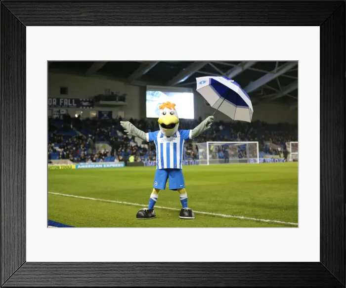 Framed Print : Brighton and Hove Albion vs. Sheffield Wednesday: Sky Bet Championship Showdown at American Express Community Stadium (08.03.2016) Framed Print : Brighton and Hove Albion vs. Sheffield Wednesday: Sky Bet Championship Showdown at American Express Community Stadium (08.03.2016)