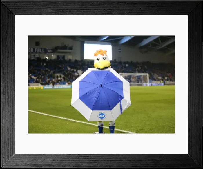 Framed Print : Brighton and Hove Albion vs. Sheffield Wednesday: Sky Bet Championship Showdown at American Express Community Stadium (08.03.2016) Framed Print : Brighton and Hove Albion vs. Sheffield Wednesday: Sky Bet Championship Showdown at American Express Community Stadium (08.03.2016)