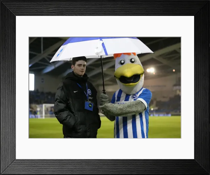 Framed Print : Brighton and Hove Albion vs. Sheffield Wednesday: Intense Sky Bet Championship Clash (08.03.2016) Framed Print : Brighton and Hove Albion vs. Sheffield Wednesday: Intense Sky Bet Championship Clash (08.03.2016)