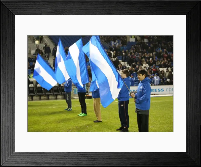 Framed Print : Brighton and Hove Albion vs. Sheffield Wednesday: Intense Sky Bet Championship Clash (08 / 03 / 2016) Framed Print : Brighton and Hove Albion vs. Sheffield Wednesday: Intense Sky Bet Championship Clash (08 / 03 / 2016)
