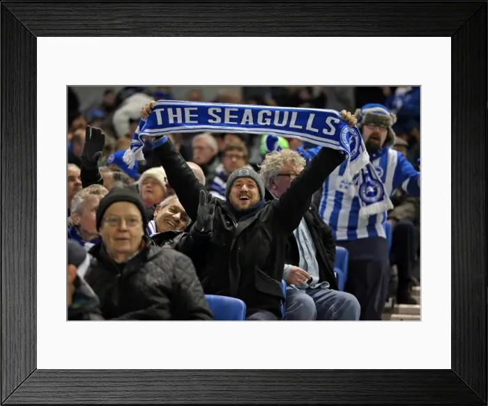 Framed Print : Brighton and Hove Albion vs. Sheffield Wednesday: A Fierce Sky Bet Championship Clash (08.03.2016) Framed Print : Brighton and Hove Albion vs. Sheffield Wednesday: A Fierce Sky Bet Championship Clash (08.03.2016)