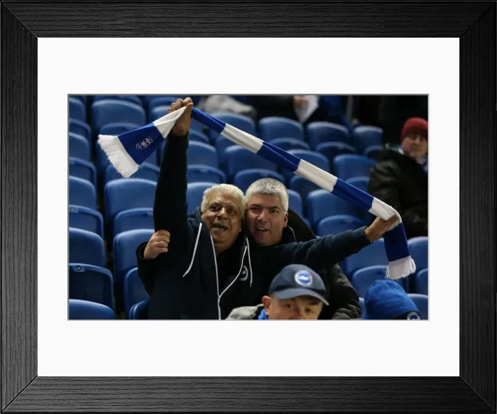 Framed Print : Brighton and Hove Albion vs. Sheffield Wednesday: Sky Bet Championship Showdown at American Express Community Stadium (08.03.2016) Framed Print : Brighton and Hove Albion vs. Sheffield Wednesday: Sky Bet Championship Showdown at American Express Community Stadium (08.03.2016)