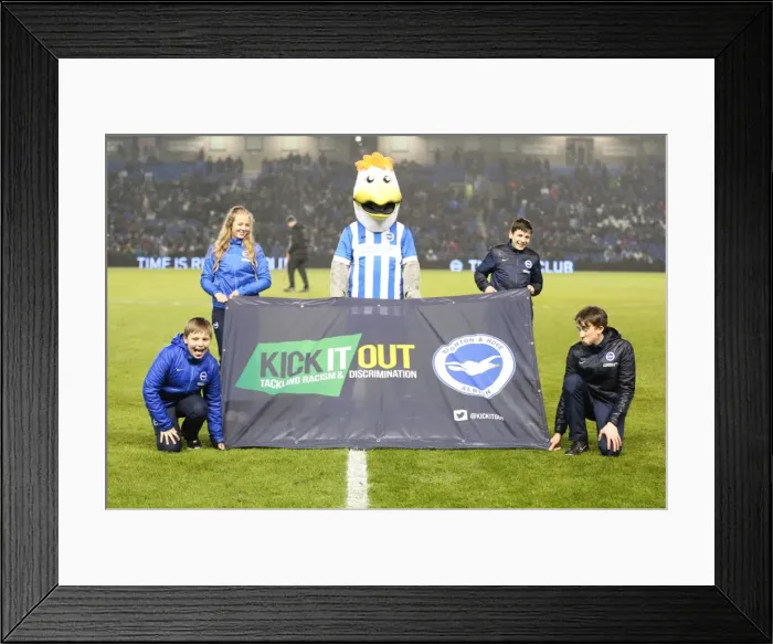 Framed Print : Brighton and Hove Albion vs. Sheffield Wednesday: Sky Bet Championship Showdown at American Express Community Stadium (08.03.2016) Framed Print : Brighton and Hove Albion vs. Sheffield Wednesday: Sky Bet Championship Showdown at American Express Community Stadium (08.03.2016)