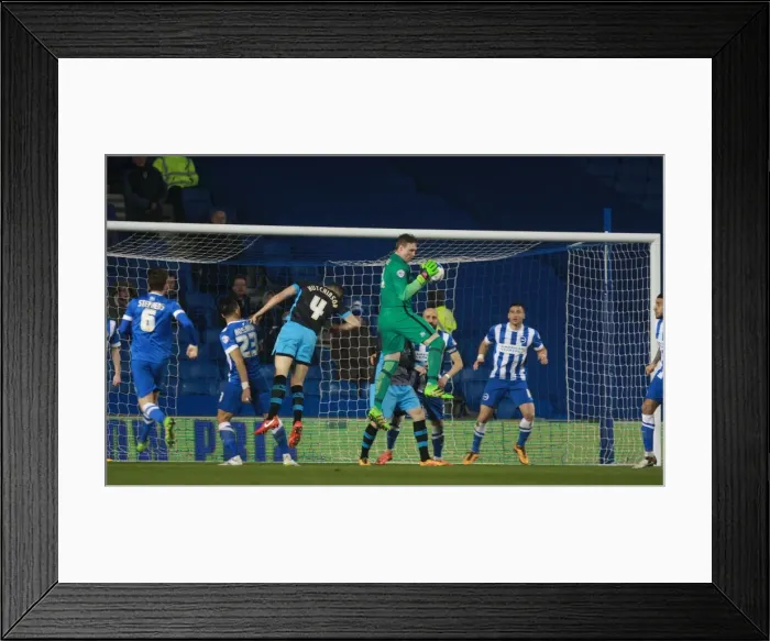 Framed Print : Brighton & Hove Albion: David Stockdale Saves Cross vs. Sheffield Wednesday (08.03.2016) Framed Print : Brighton & Hove Albion: David Stockdale Saves Cross vs. Sheffield Wednesday (08.03.2016)