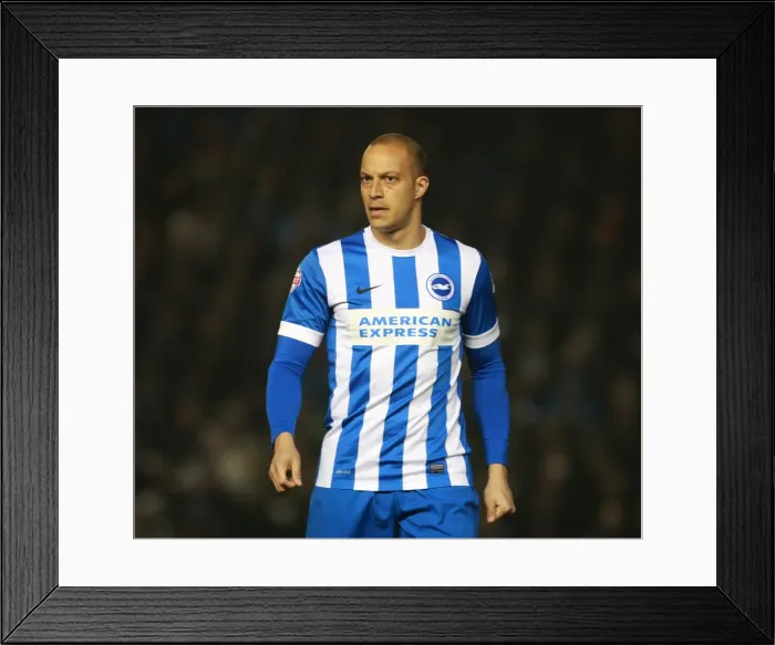 Framed Print : Bobby Zamora in Action: Brighton and Hove Albion vs Sheffield Wednesday (08 / 03 / 2016) Framed Print : Bobby Zamora in Action: Brighton and Hove Albion vs Sheffield Wednesday (08 / 03 / 2016)