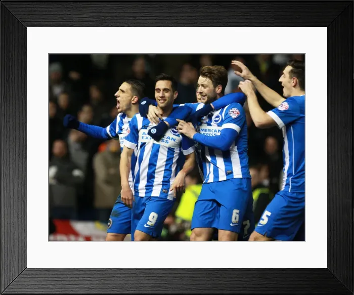 Framed Print : Brighton & Hove Albion's Sam Baldock and Dale Stephens Celebrate 2-0 Lead Over Leeds United, February 2016 Framed Print : Brighton & Hove Albion's Sam Baldock and Dale Stephens Celebrate 2-0 Lead Over Leeds United, February 2016