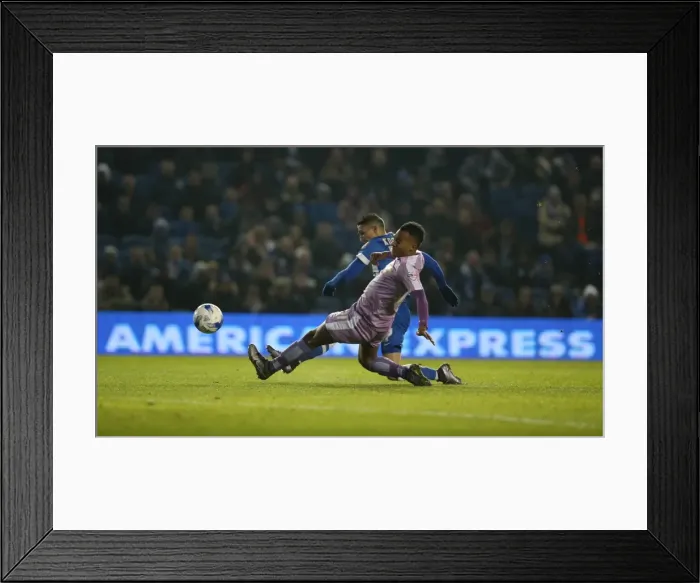 Framed Print : Intense Championship Showdown: Brighton and Hove Albion vs. Reading (15 March 2016) Framed Print : Intense Championship Showdown: Brighton and Hove Albion vs. Reading (15 March 2016)
