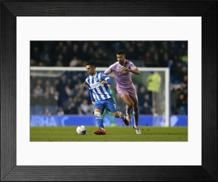 Framed Print : Intense Championship Showdown: Brighton and Hove Albion vs. Reading (15 March 2016) Framed Print : Intense Championship Showdown: Brighton and Hove Albion vs. Reading (15 March 2016)