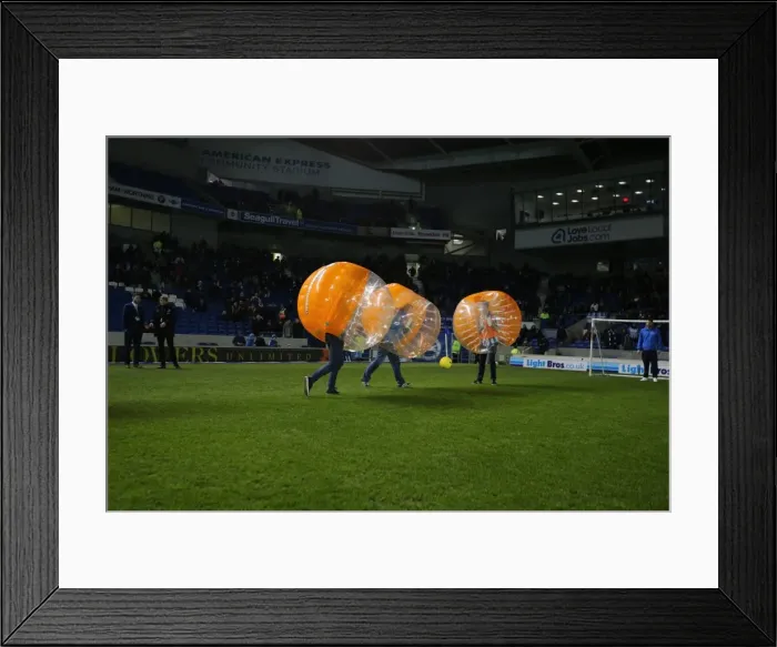 Framed Print : Brighton & Hove Albion vs. Reading - March 15, 2016 (Season 2015-16) Framed Print : Brighton & Hove Albion vs. Reading - March 15, 2016 (Season 2015-16)