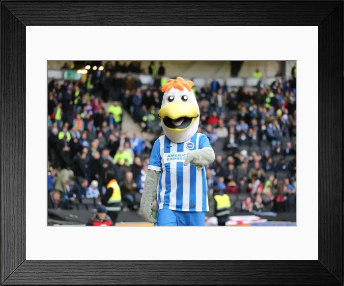 Framed Print : Championship Showdown: Milton Keynes Dons vs. Brighton and Hove Albion (19MAR16) Framed Print : Championship Showdown: Milton Keynes Dons vs. Brighton and Hove Albion (19MAR16)