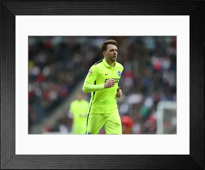 Framed Print : Brighton and Hove Albion's Championship Triumph: March 19, 2016 vs. MK Dons (MK Dons 19MAR16) Framed Print : Brighton and Hove Albion's Championship Triumph: March 19, 2016 vs. MK Dons (MK Dons 19MAR16)