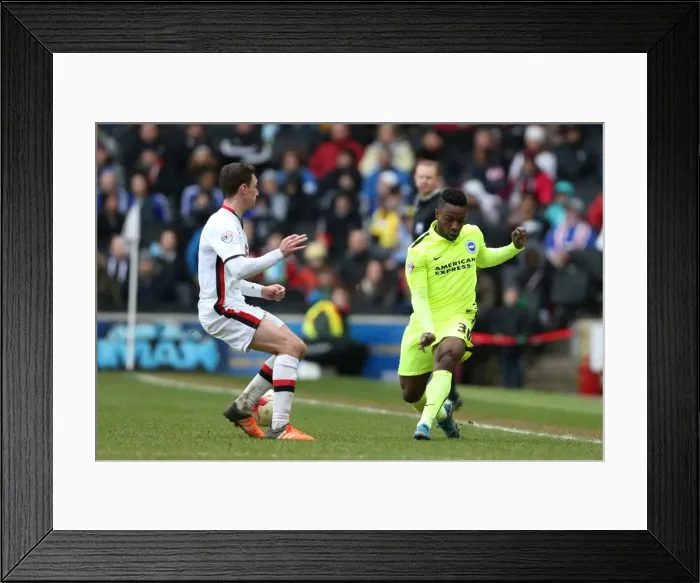 Framed Print : Brighton and Hove Albion Celebrate Championship Victory Over MK Dons (19MAR16) Framed Print : Brighton and Hove Albion Celebrate Championship Victory Over MK Dons (19MAR16)