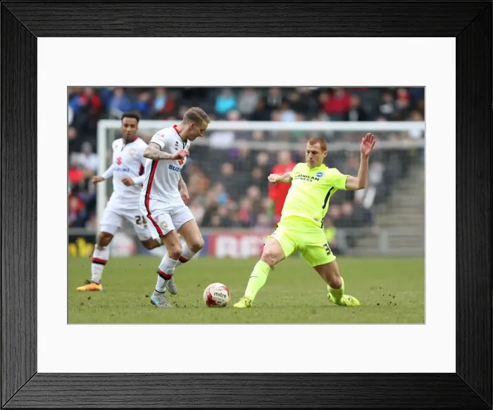 Framed Print : Brighton and Hove Albion Clinch Championship Victory over MK Dons (19MAR16) Framed Print : Brighton and Hove Albion Clinch Championship Victory over MK Dons (19MAR16)