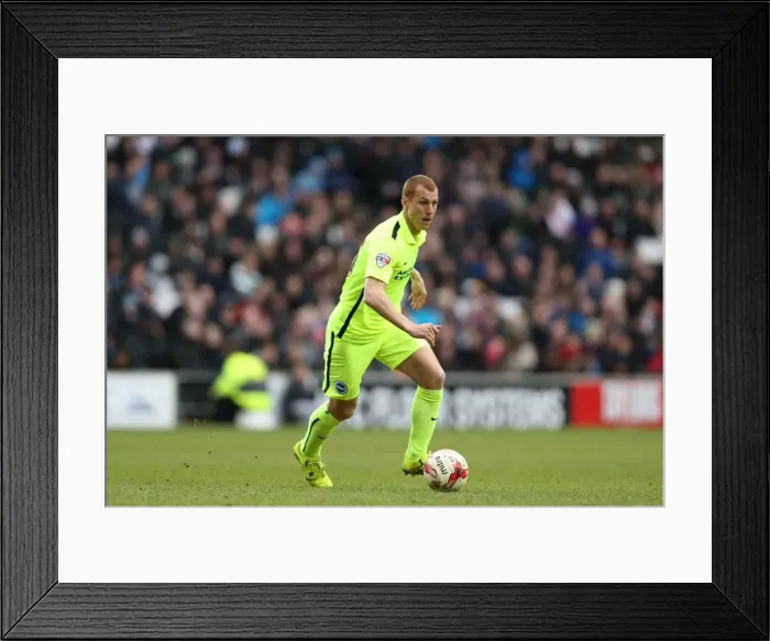 Framed Print : Brighton and Hove Albion Celebrate Championship Victory over MK Dons (19MAR16) Framed Print : Brighton and Hove Albion Celebrate Championship Victory over MK Dons (19MAR16)