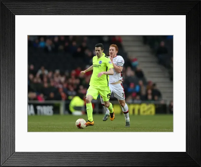 Framed Print : Brighton and Hove Albion Clinch Championship Victory over MK Dons (19MAR16) Framed Print : Brighton and Hove Albion Clinch Championship Victory over MK Dons (19MAR16)