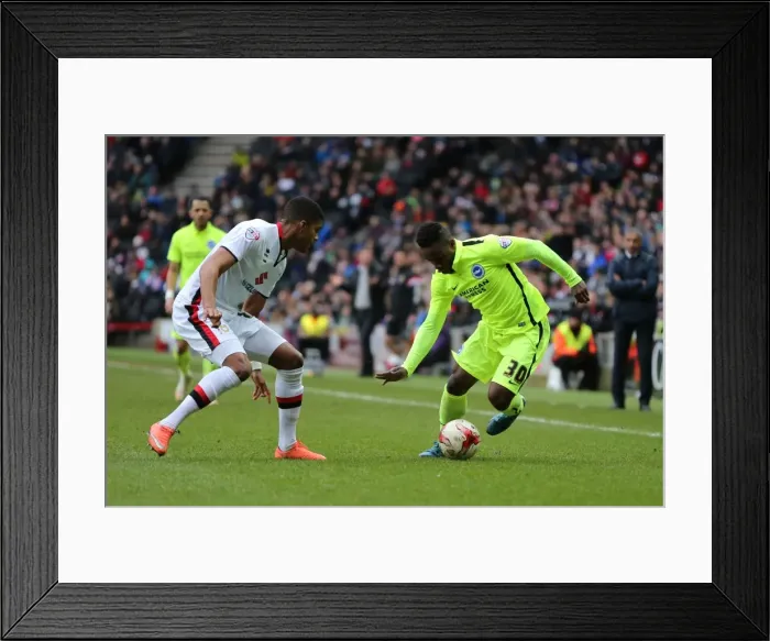 Framed Print : Brighton and Hove Albion Clinch Championship Victory over MK Dons (19MAR16) Framed Print : Brighton and Hove Albion Clinch Championship Victory over MK Dons (19MAR16)