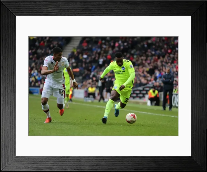 Framed Print : Brighton and Hove Albion Celebrate Championship Victory over MK Dons (19MAR16)
