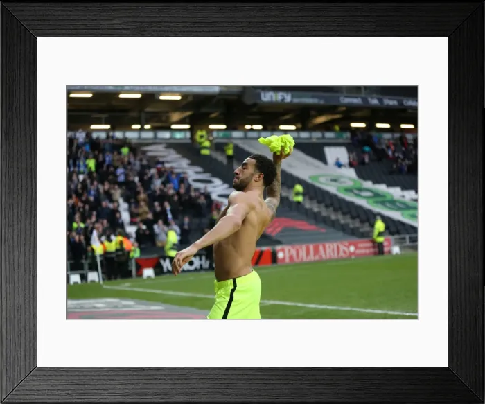 Framed Print : Brighton and Hove Albion Clinch Championship Victory Over MK Dons (19MAR16) Framed Print : Brighton and Hove Albion Clinch Championship Victory Over MK Dons (19MAR16)