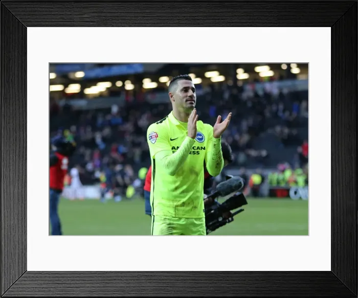 Framed Print : Brighton and Hove Albion's Championship Victory over MK Dons on March 19, 2016