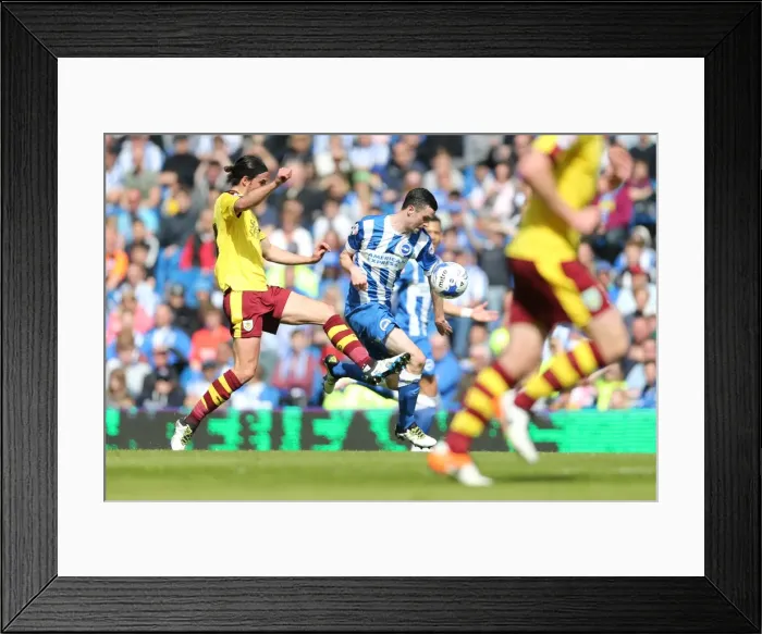 Framed Print : Intense Championship Showdown: Brighton and Hove Albion vs. Burnley (April 2016) Framed Print : Intense Championship Showdown: Brighton and Hove Albion vs. Burnley (April 2016)