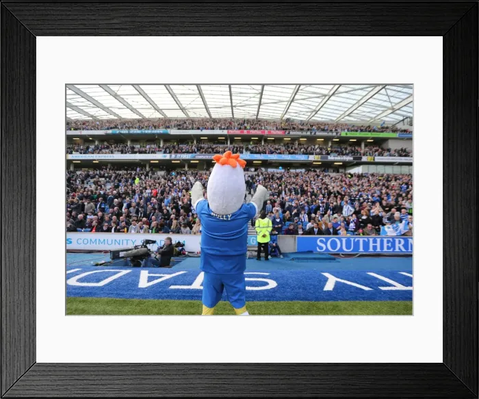 Framed Print : Intense Championship Showdown: Brighton and Hove Albion vs. Burnley (April 2016) Framed Print : Intense Championship Showdown: Brighton and Hove Albion vs. Burnley (April 2016)