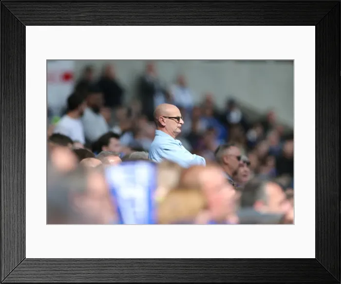 Framed Print : Brighton and Hove Albion vs. Burnley: A Championship Showdown (02APR16) Framed Print : Brighton and Hove Albion vs. Burnley: A Championship Showdown (02APR16)