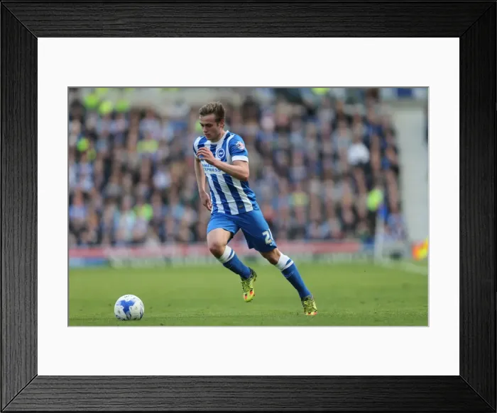 Framed Print : Intense Championship Showdown: Brighton and Hove Albion vs. Burnley (April 2016) Framed Print : Intense Championship Showdown: Brighton and Hove Albion vs. Burnley (April 2016)