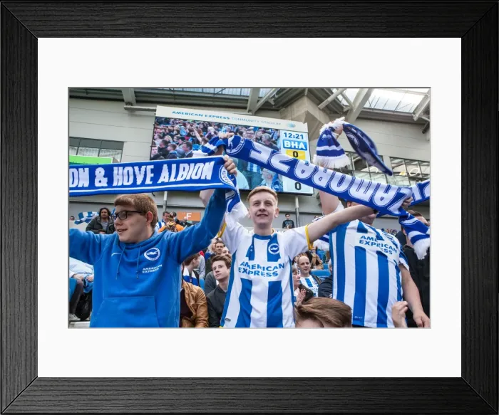 Framed Print : Brighton and Hove Albion Fans Celebrating at American Express Community Stadium during Sky Bet Championship Match vs Burnley (02APR16) Framed Print : Brighton and Hove Albion Fans Celebrating at American Express Community Stadium during Sky Bet Championship Match vs Burnley (02APR16)