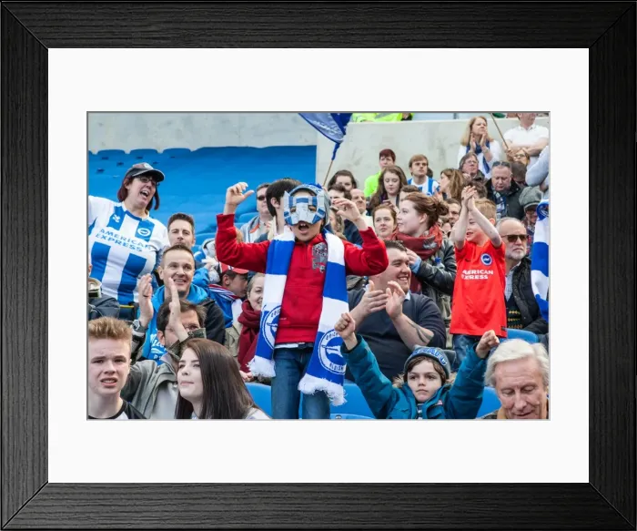 Framed Print : Brighton and Hove Albion Fans in Action during the Sky Bet Championship Match vs Burnley (02APR16)