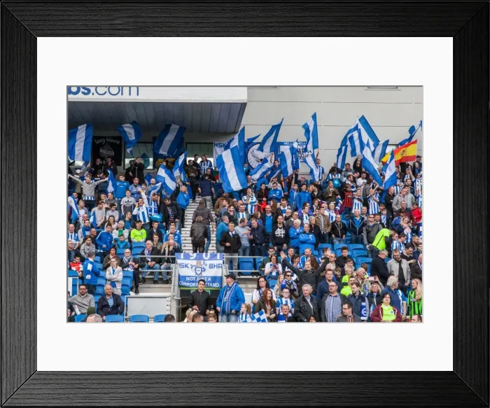 Framed Print : Electric Atmosphere in Brighton and Hove Albion's North Stand: Sky Bet Championship 2016 (Burnley vs. Brighton 02APR16)