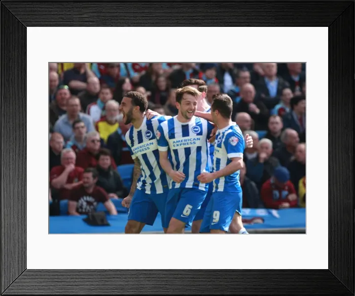 Framed Print : Dale Stephens Scores the Winner: Brighton and Hove Albion Edge Past Burnley in Championship Showdown (08 / 03 / 2016) Framed Print : Dale Stephens Scores the Winner: Brighton and Hove Albion Edge Past Burnley in Championship Showdown (08 / 03 / 2016)