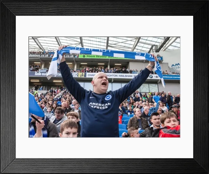 Framed Print : Passionate Brighton and Hove Albion FC Fan Amidst the Championship Action, April 2016 (Brighton vs. Burnley) Framed Print : Passionate Brighton and Hove Albion FC Fan Amidst the Championship Action, April 2016 (Brighton vs. Burnley)