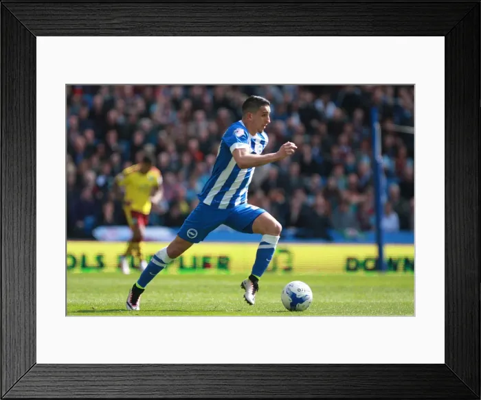 Framed Print : Anthony Knockaert's Thrilling Performance: Brighton and Hove Albion vs. Burnley, Sky Bet Championship (April 2016) Framed Print : Anthony Knockaert's Thrilling Performance: Brighton and Hove Albion vs. Burnley, Sky Bet Championship (April 2016)