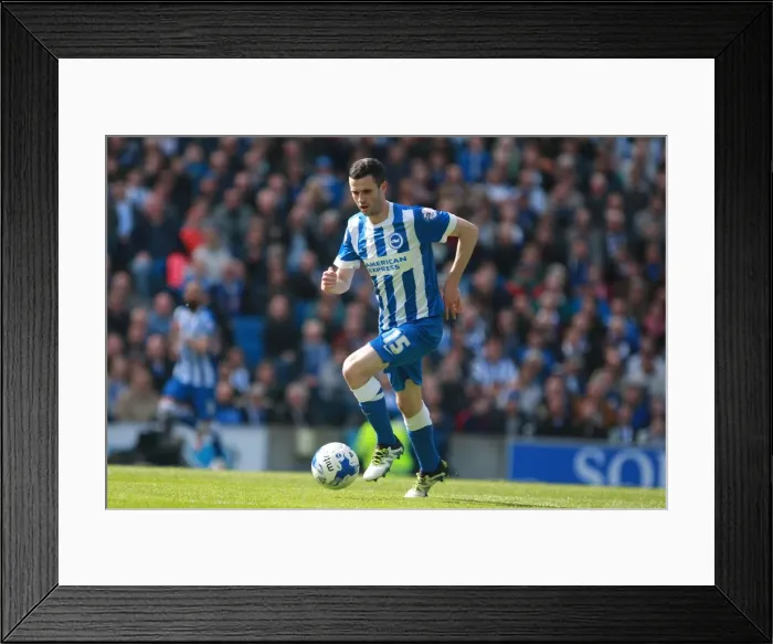 Framed Print : Jamie Murphy in Action: Brighton & Hove Albion vs Burnley, Sky Bet Championship, April 2016 Framed Print : Jamie Murphy in Action: Brighton & Hove Albion vs Burnley, Sky Bet Championship, April 2016