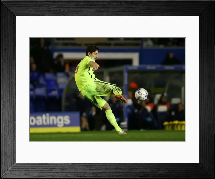 Framed Print : Brighton and Hove Albion vs. Birmingham City: Sky Bet Championship Showdown at St. Andrews (05APR16) Framed Print : Brighton and Hove Albion vs. Birmingham City: Sky Bet Championship Showdown at St. Andrews (05APR16)
