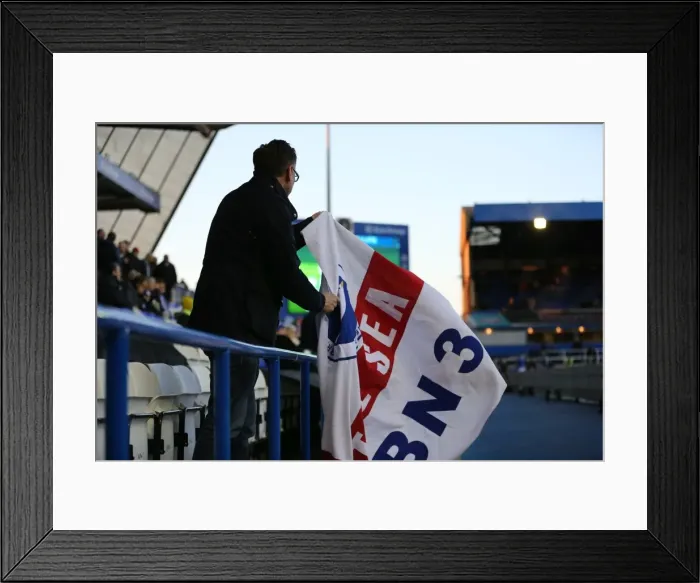 Framed Print : Brighton and Hove Albion vs. Birmingham City: Sky Bet Championship Showdown at St. Andrews (05APR16)