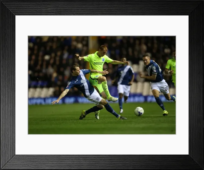 Framed Print : Brighton and Hove Albion vs. Birmingham City: Sky Bet Championship Showdown at St. Andrews (05 / 04 / 2016) Framed Print : Brighton and Hove Albion vs. Birmingham City: Sky Bet Championship Showdown at St. Andrews (05 / 04 / 2016)