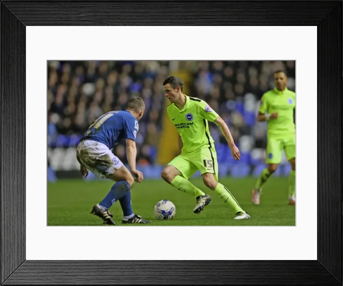 Framed Print : Intense Championship Showdown: Brighton and Hove Albion vs. Birmingham City (05APR16) Framed Print : Intense Championship Showdown: Brighton and Hove Albion vs. Birmingham City (05APR16)